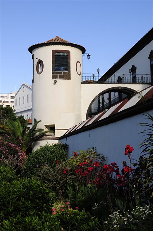 Torreao _sul
