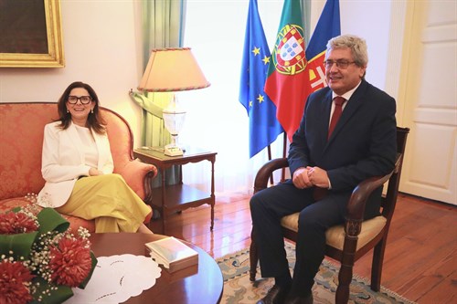 Foto _2